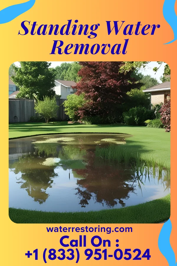 Standing Water Removal in Nucla, CO